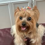 Rene' McNally - @bellawillow64 - Instagram