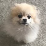 Meeka Renée - @meeka.renee - Instagram