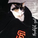 Renee Meyer - @meandbellabowtie - Instagram