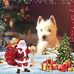Rene Morelli - Facebook