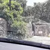 Rene Morelli - @rene.morelli - TikTok