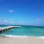 Renee Morelli - @fishoutofwater_reborn - Instagram