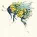 Renee Morley - Facebook