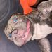 Renee Rose Morley - Facebook