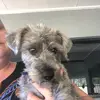 Renee Morrison - @r.morrison77 - TikTok