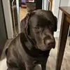 Renee Moyer - @renee.moyer - TikTok