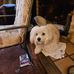 Renee Mudd - Facebook