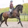Renée Mudde - @renee.mudde - TikTok