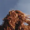 reneemudd - @reneemudd - TikTok