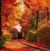 Renee Nordeen - Facebook