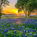 Renee Ogletree - Facebook