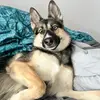 OliveRenee10/19 - @oliverenee101924 - TikTok