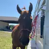 Renee_Olsen_9110 - @.reneeolsen - TikTok