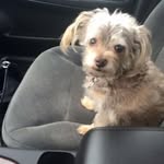 Renee Olsen - @renee.olsen.965 - Instagram