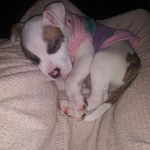 Jessica Renee Olvera - @msolvera78 - Instagram