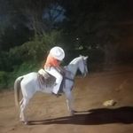 Rene Olvera - @reneo_lvera - Instagram