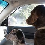 Renee Packard-Hansen - @packardhansen - Instagram