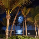 Renee Hildenbrand Parrett - @parrettrenee - Instagram