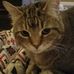 Renee Parrett - Facebook