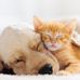 Renee Parris - Facebook