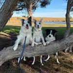 Renee Patten - @renee_fj_patten - Instagram