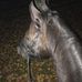 Renee Pedersen - Facebook