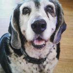 renee petersen - @reneepetersen37 - Instagram