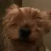 Aaaaaaaaaaaaa - @reneepickett155 - TikTok