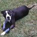 Renee Pickett - Facebook