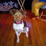 Renee Pickett - @renee.pickett0469 - Instagram