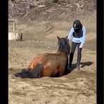 Renee Pitcher - Facebook