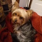 Renee Poitras - @romren45 - Instagram