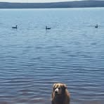 Renee Pollard - Facebook
