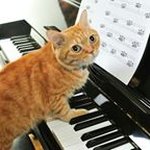 Renee Potter - @potter6502 - Instagram