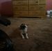 Renee Poulos - Facebook