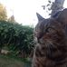 Renee Poulos - Facebook