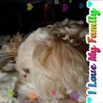 Renee Proctor - @renee.proctor.73 - Instagram
