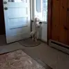 reneeproctor146 - @reneeproctor146 - TikTok