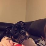 @madison_renee_proffitt - Instagram