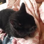 rene reimer - @reimer6572 - Instagram