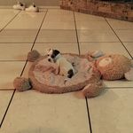 Makinzie Renee Rhine - @makinzie_122 - Instagram