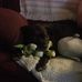 Ronni Rickert - Facebook