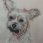 Renee P Rock - @reneerockcarrier - Instagram
