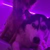 Renee_rocks!! - @reneerocks5447 - TikTok