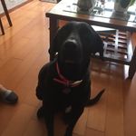 Renee.rock - @renee.rock1 - Instagram