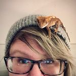 Renee Rooney - @rooneytunes_ - Instagram