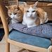 Rene Roos - Facebook