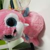 ReneeRutledge - @lillypuppys - TikTok