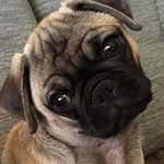 René Schreiber - @rene_schreiber77 - Instagram