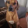Rene Schwarz - @rene.schwarz7 - TikTok